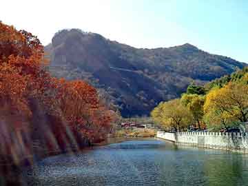 新澳天天开奖资料大全旅游团，泛目录诈骗